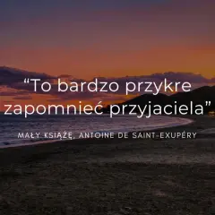 Zachód słońca nad morzem. Cytat o przyjaźni: "To bardzo przykre zapomnieć przyjaciela".