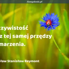 Cytaty o tym, jak spełniaj marzenia, bo rzeczywistość jest z tej samej przędzy co one. Biedronka na chabrze.