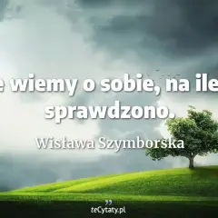 Tyle wiemy o sobie, na ile nas sprawdzono. Samotne drzewo na wzgórzu pod burzowym niebem.