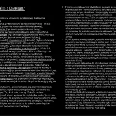 Groteska w Ferdydurke: karykatury, wyolbrzymienia, absurd, parodia i łamanie konwencji literackich tworzą obraz świata, gdzie forma jest ucieczką.
