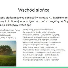 Promienie słońca przebijające przez drzewa i mgłę nad zieloną łąką.