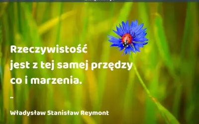 Cytaty o tym, jak spełniaj marzenia, bo rzeczywistość jest z tej samej przędzy co one. Biedronka na chabrze.