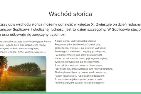 Promienie słońca przebijające przez drzewa i mgłę nad zieloną łąką.