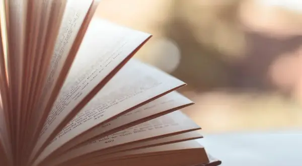 Otwarta książka, jej strony tworzą wachlarz. Widać tekst, numery stron. To obraz synkretyzmu w literaturze, gdzie różne wątki splatają się.