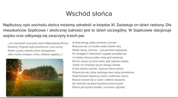Promienie słońca przebijające przez drzewa i mgłę nad zieloną łąką.