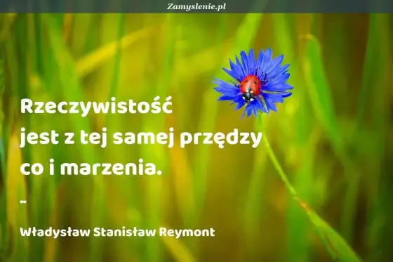 Spełniaj marzenia - cytaty, które dają realny impuls do działania