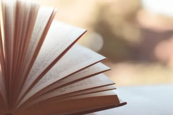 Otwarta książka, jej strony tworzą wachlarz. Widać tekst, numery stron. To obraz synkretyzmu w literaturze, gdzie różne wątki splatają się.