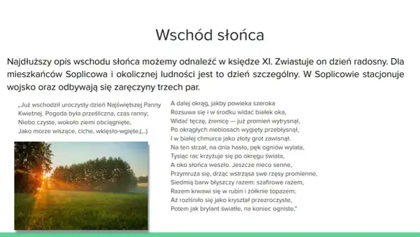 Promienie słońca przebijające przez drzewa i mgłę nad zieloną łąką.